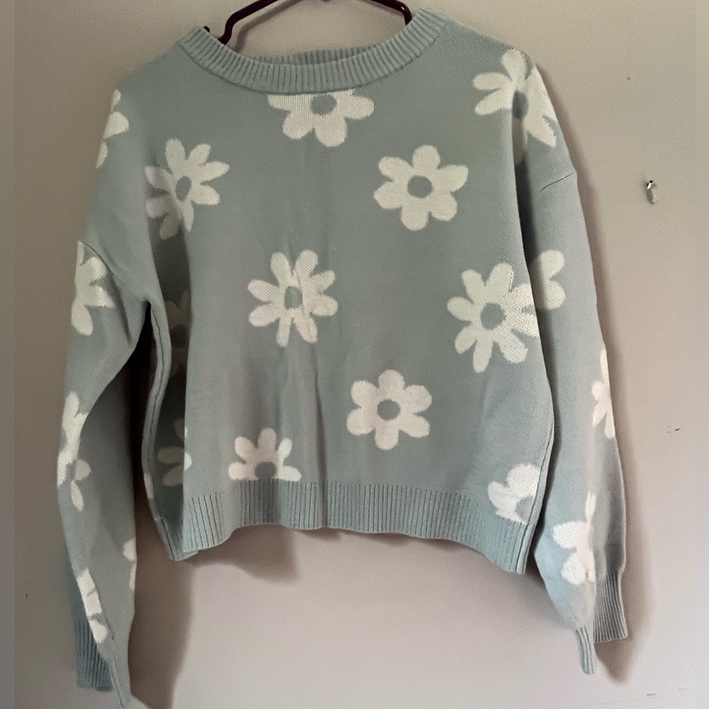 Pale sage green flower cropped sweater